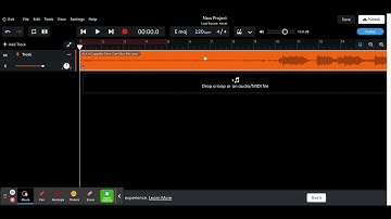 How To Cut and Crop Tracks in Bandlab or Audacity