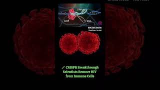 CRISPR Breakthrough: Scientists Remove HIV from Immune Cells