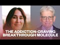 The Addiction Craving Breakthrough Molecule MEAI Journey Into The Mystic Podcast With Mark Haden The Addiction Craving Breakthrough Molecule MEAI Journey Into The Mystic Podcast With Mark Haden