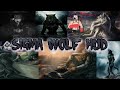 Team Fortress 2 Sigma Wolf Hud Trailer
