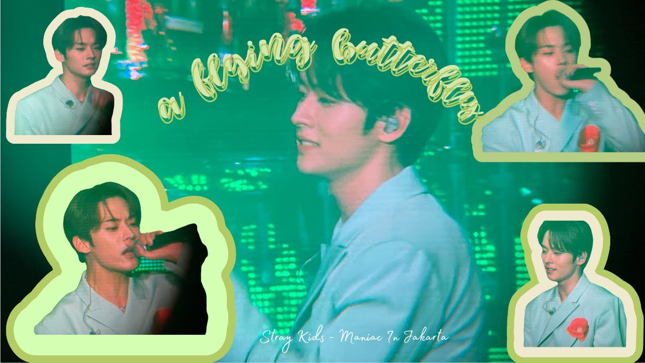 A FLYING BUTTERFLY (YB) Cover by Lee Know Stray Kids YouTube