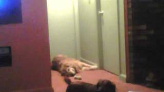 Capture 20110506 1
