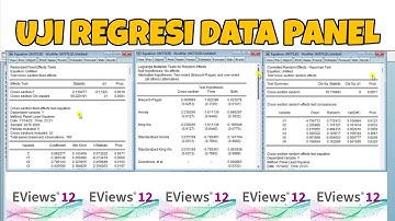 TUTORIAL UJI REGRESI DATA PANEL MENGGUNAKAN EVIEWS | PENJELASAN LENGKAP