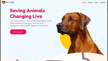 Pet Care Website by SNP ZONE With Source Code 😍😍