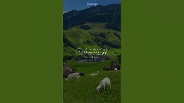احترم القرآن الكريم #القرآن_الكريم #quran #tiktok #اكسبلور #لايك #قرآن #explore #قرآن_كريم #trending