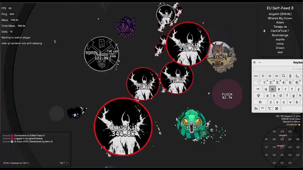 Vanis Selffeed Takeover (SOLO ELITE MULTIBOXER GAMEPLAY)