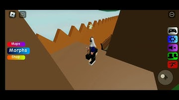 How to get Bee Hive Floppa in Find the Floppa Morphs(Roblox)