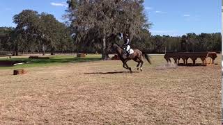 Jimmie Schramm & Eclaire