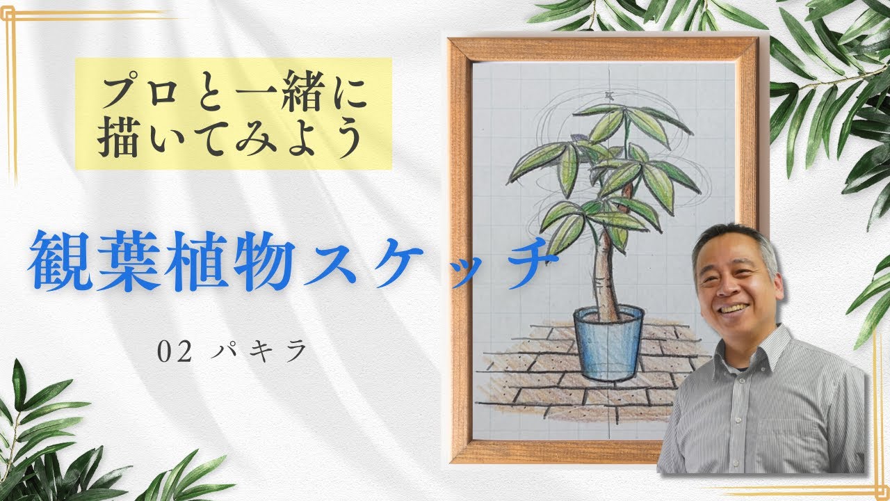 No artistic talent required!] Let's draw the houseplant Pachira