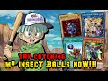 GOKIPOLE CONTROL! [Master Duel] Duel Trial Deck Profile Yu Gi Oh