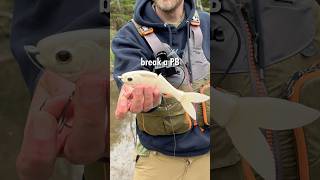 Big Bait = PB?