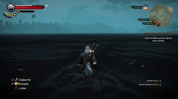Witcher 3 - Walk on the water (bug)