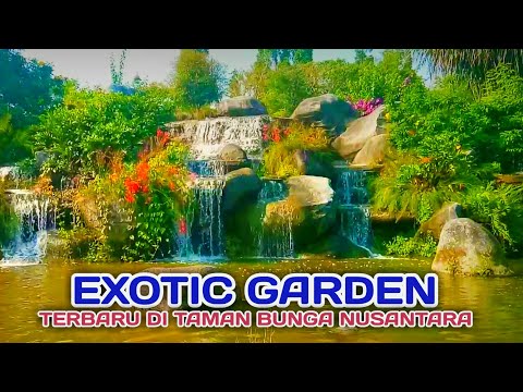 terbaru-,exotic-garden,-taman-bunga-nusantara-|-wisata-cianjur,taman-exsotis