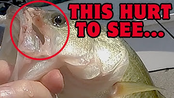 The Hidden Damage Treble Hooks Can Cause