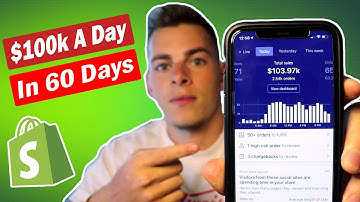 Scaling to 100k/Day (Drop Shipping) | Q4 Case Study