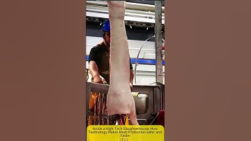Inside a High-Tech Slaughterhouse: How Technology Makes Meat Production Safer and Faster