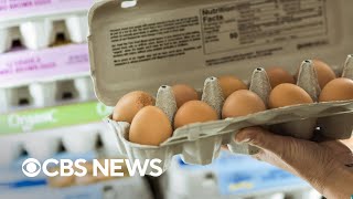 Why egg prices are soaring in the U.S.