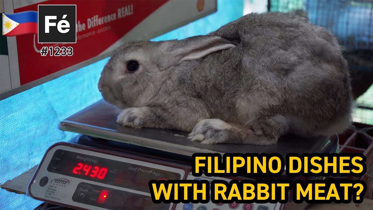 Rabbit Farming in the Philippines Rabbit Adobo & Lechon Rabbit