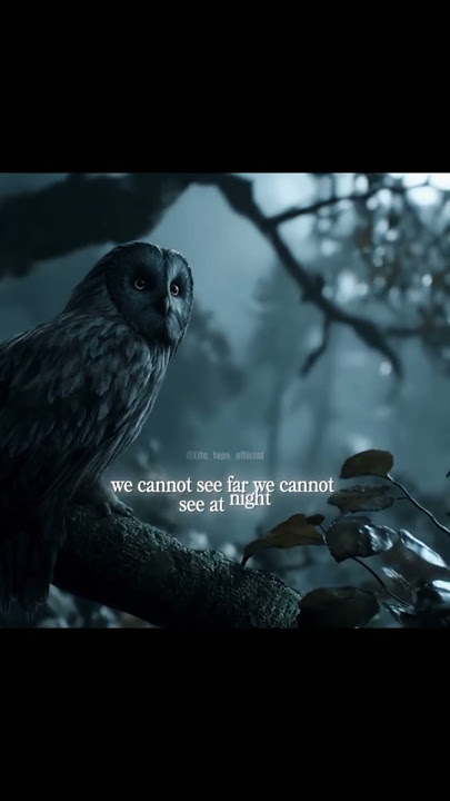 فى قتالٍ عادل .. هل للبشر فرصة؟!