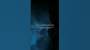 أكتب شيء تؤجر عليه♡   #shortvideo #tiktok #ستوريات #اكسبلور #تلاوة_خاشعة #راحة_نفسية #قرآن