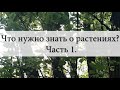 Что нужно знать о растениях? Часть 1. Устойчивость.