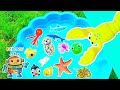 Learn Sea Animal Names for Kids with Toys: Jellyfish Starfish Octopus Seal Penguin Whale