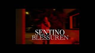 [INSTRUMENTAL] sentino  - blessuren