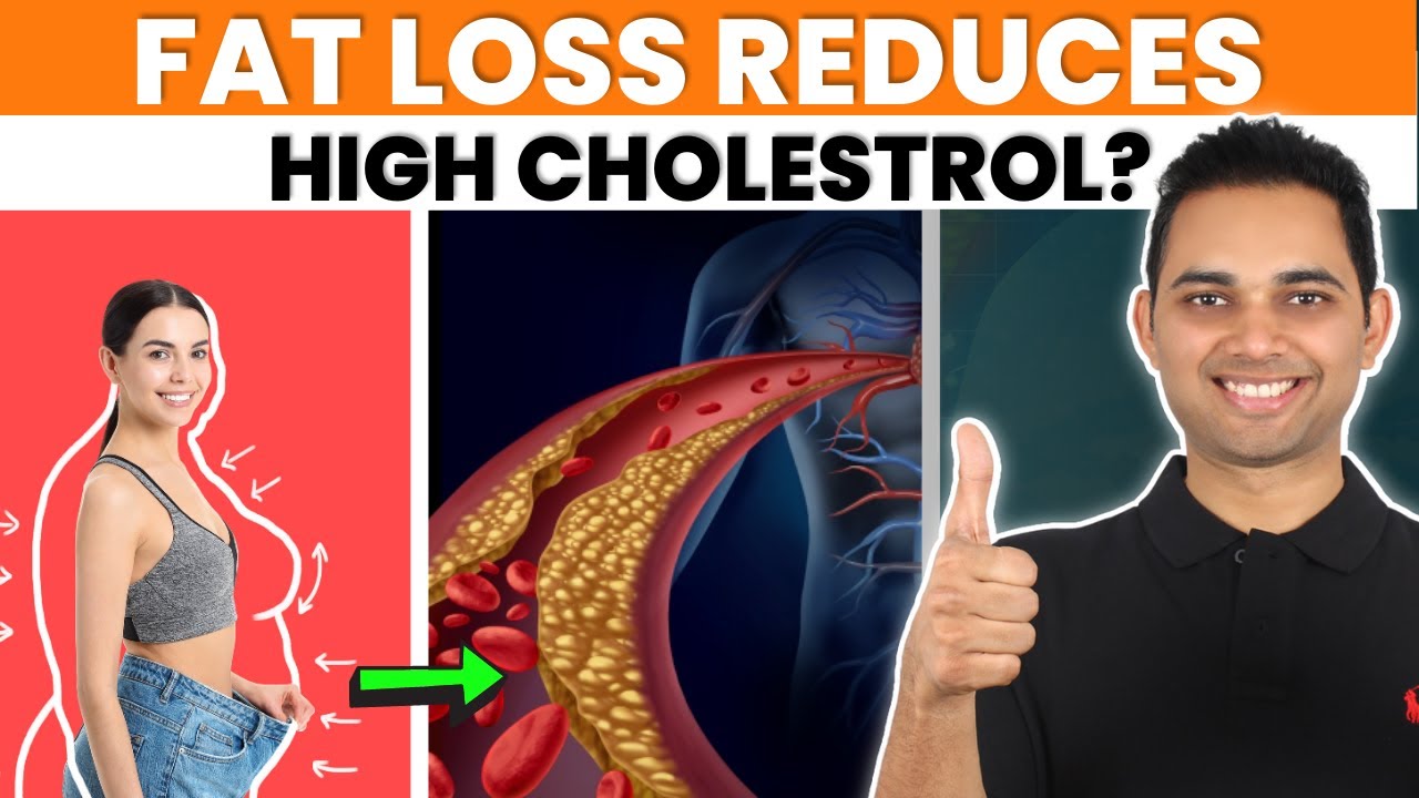 Can Fat Loss Reduce High Cholesterol? Know The Science Behind! YouTube