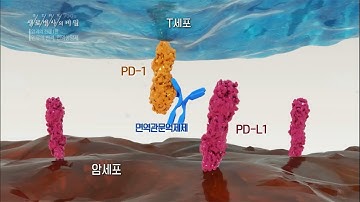 [생로병사의 비밀] 700회 특집 핫클립? - ?면역항암제(=면역관문억제제)의 기전?