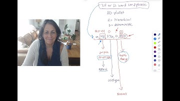 BIP-44 Explained: Setting the Stage for BKDS (via BRC-100) on BSV