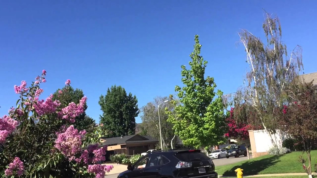 Agoura Hills Police Helicopter 81515 YouTube