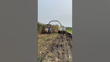 Celikel Forage Harvester Agriculture Maizesilage Animalfeed Celikel Forage 