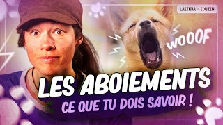 3 choses à savoir sur les aboiements ! | Laetitia Gonnon  Eduzen