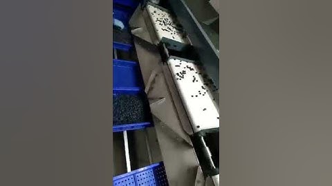 Blueberry sorting machine