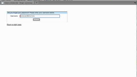 Client Portal - Reset Password