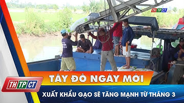 Xuất khẩu gạo sẽ tăng mạnh từ tháng 3 | Cần Thơ TV