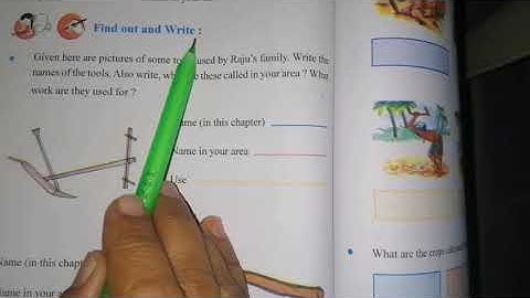 Standard IV /Environment /Looking Around /NCERT