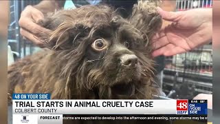 The trial for a woman charged with multiple counts of animal cruelty out of Cherokee in Colbert C...