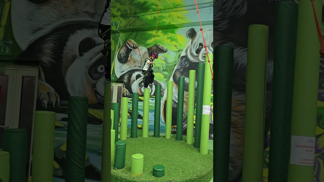 Today my brother and I went to Sky Park 