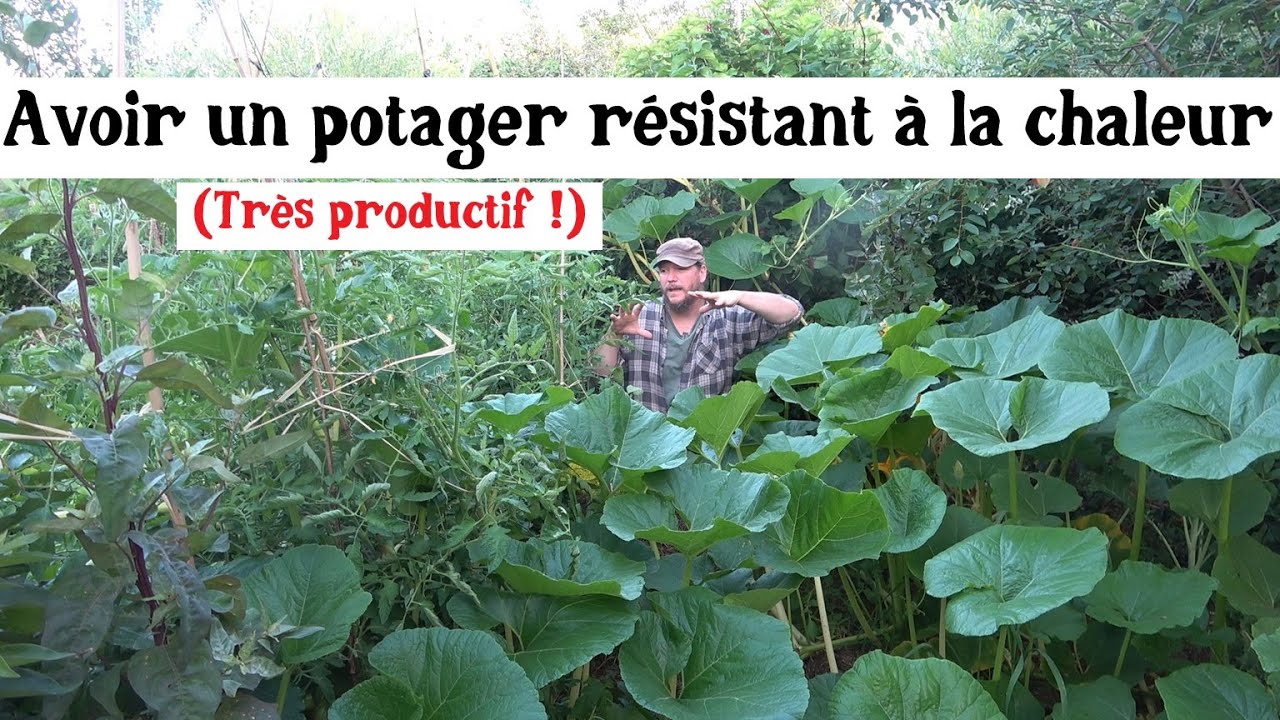 Avoir un potager résistant à la chaleur !