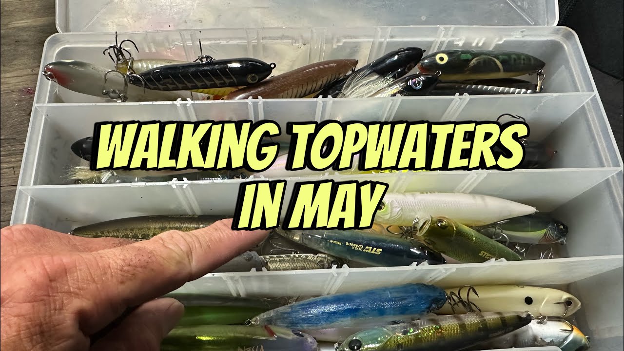 Best Topwater Lures And Techniques For May Bass Fishing…