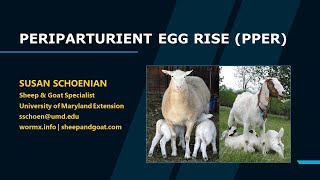 Periparturient Egg Rise (of Sheep and Goats)
