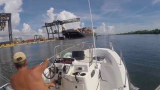 2nd Trip to Bimini 2017