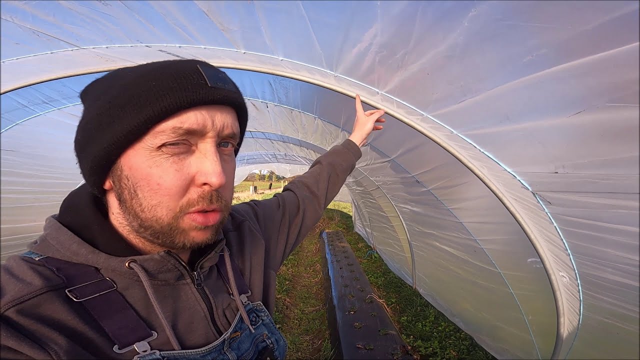 Montage des tunnels de fraises.