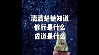 201210 清清楚楚知道修行是什么 成道是什么10145
