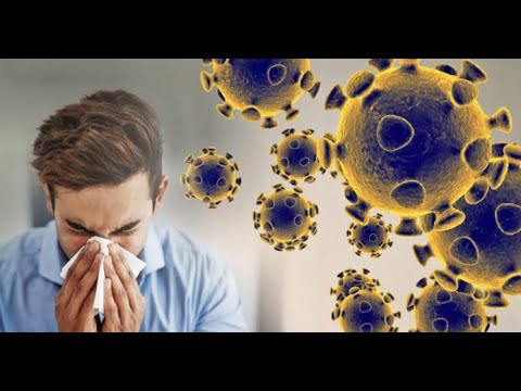 Video: Si Të Zgjidhni Antivirusin Më Të Mirë
