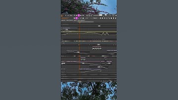 is this botanica? #botanica #flstudio #petalcore #gami #sounddesign