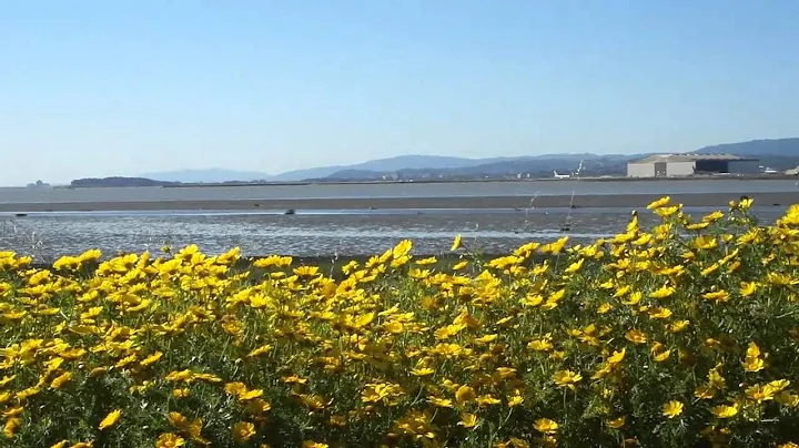 "Beautiful Dreamer" - Phil Coulter