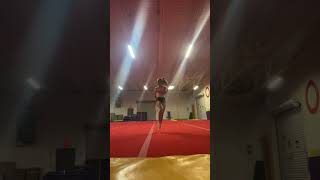 Apollo Gymnasts doing more than good gymnastics October 2023