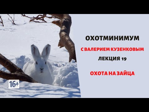 Охотминимум. Лекция 19. Охота на зайца